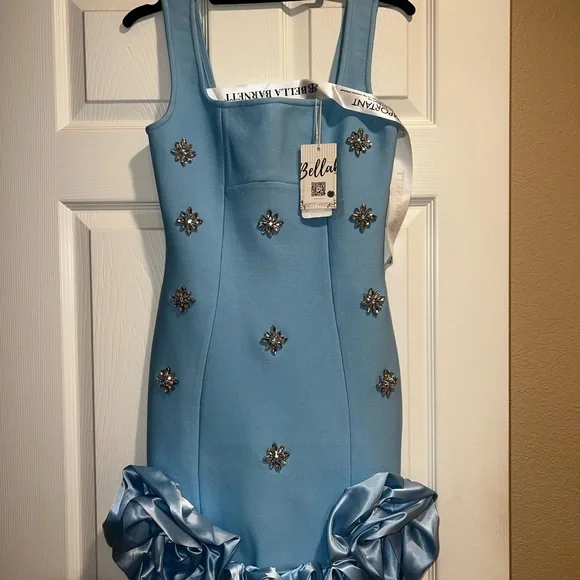 Abella Light Blue Mini Dress with Floral Embellishments - Picture 1 of 2
